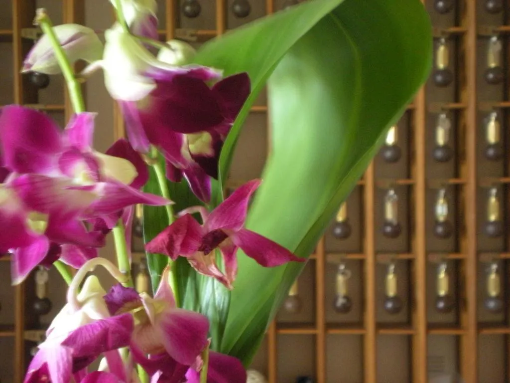 קיאנצ'נו טרמה Hotel Savoia Palace 3*, קיאנצ'נו טרמה איטליה